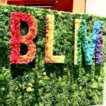 Michelle Borth Instagram - @ablmla #allblacklivesmatter #lgbtq🌈 #pridemonth #hollywoodstyle #spreadlove