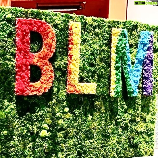 Michelle Borth Instagram - @ablmla #allblacklivesmatter #lgbtq🌈 #pridemonth #hollywoodstyle #spreadlove