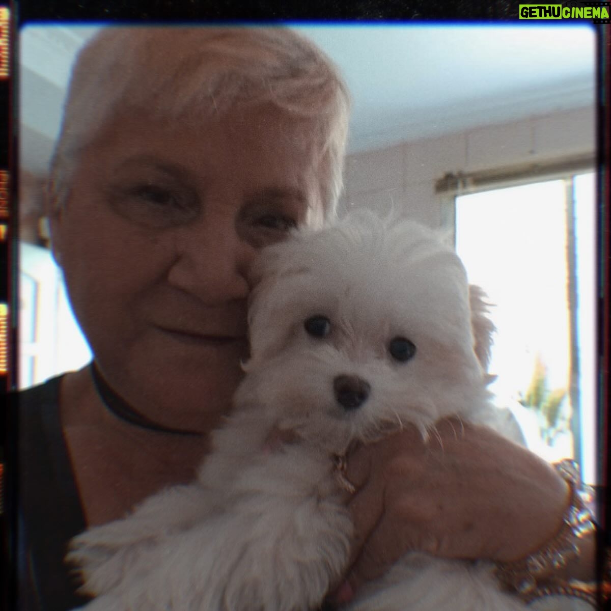Michelle Giudice Instagram - FELIZ DIA DAS MÃES pra todas as maravilhosas guerreiras que nos ensinam o que é amor incondicional!!! Até as mães de pet como eu 😅🐶🙈
