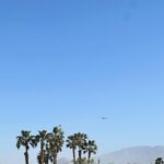 Michelle Mylett Instagram - Coachella/PS