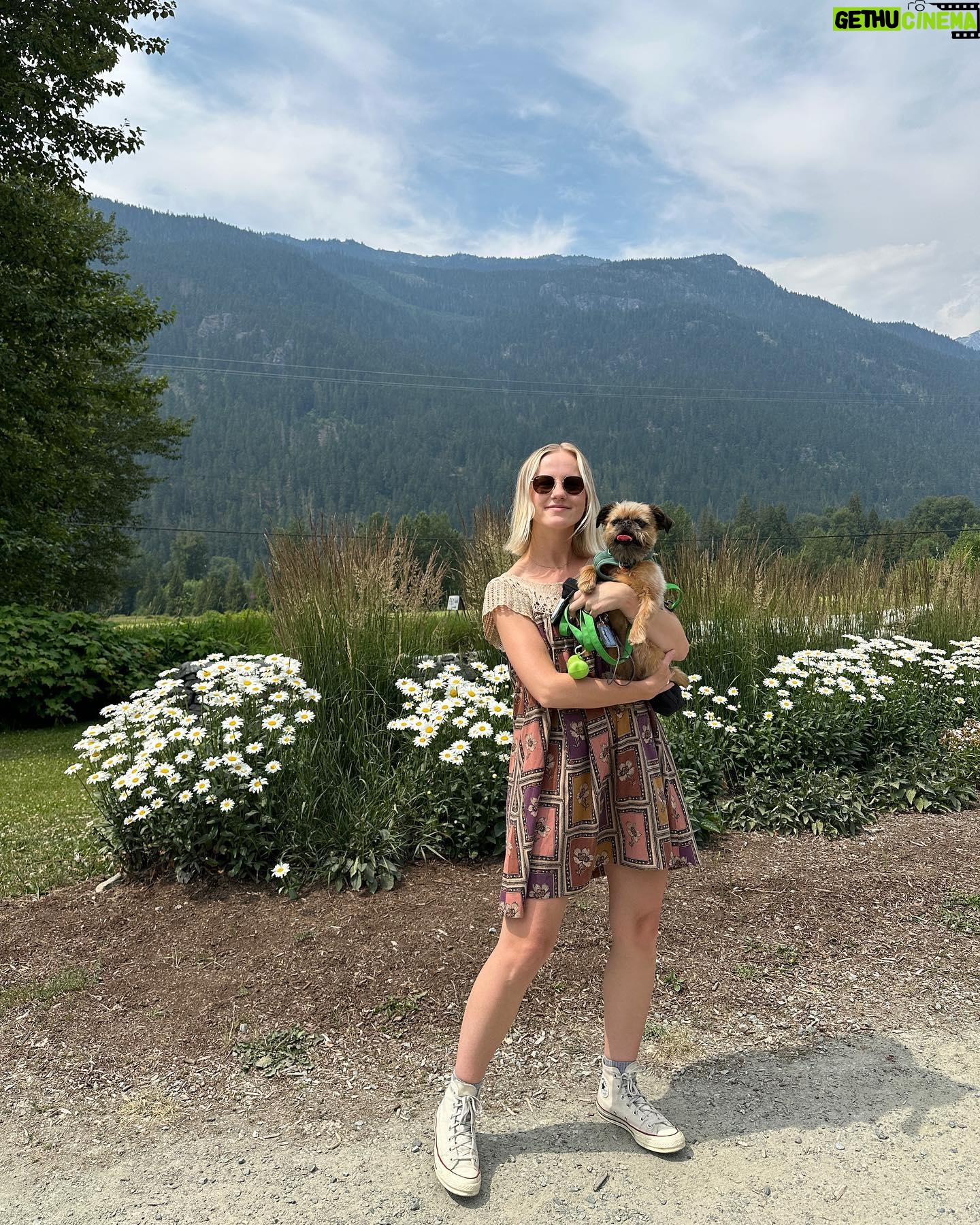 Michelle Mylett - 8.8K Likes - cabincorn