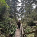 Michelle Mylett Instagram - current mix