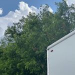 Michelle Mylett Instagram – new @letterkennyproblems available now on @hulu and @cravecanada