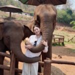 Michelle Wai Instagram - 泰國之旅 #清邁自由行 #thailand #travel #Elephant