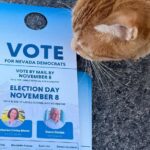 Midori Francis Instagram - I am having a great time out in Las Vegas, Nevada meeting with @aapidemsnv and other members and coalitions within the #nevadademocraticvictory . I'm out here canvassing door to door today but I stand in great appreciation and awe towards all of you who are out there doing this EVERY DAY, many of you since the summer. Mid-term elections are on Tuesday and we are so close in a few key states like Nevada. Every. Vote. Will. Count. Many states offer same day voter registration! Our rights are on the line. Thank you for standing up. Link in bio for more info. This will literally come down to a margin of victory !!!