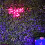 Mignon Von Instagram – Episode 3  of @theorbitaltribe “Take your power back” is out now everywhere 
#heal #generationalcursebreaker #breakthecycle #otpodsquad #remember #selfdiscovery #selfimage