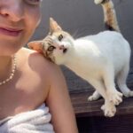 Miisa Rotola-Pukkila Instagram - Ystävä palasi!!!😭🩷🌸🐈 Jo neljäs jälleennäkeminen samalla villalla katujen kasvatti Mazepinin kanssa. Mikä molemminpuolinen riemu siitä repesikään!🥹