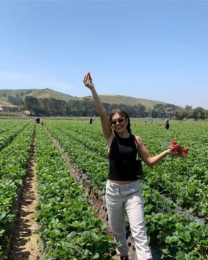 Mika Abdalla Instagram - Please look at Claire frolicking through the strawberry field. My heart explodes