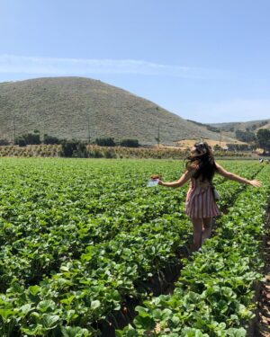 Mika Abdalla Instagram - Please look at Claire frolicking through the strawberry field. My heart explodes