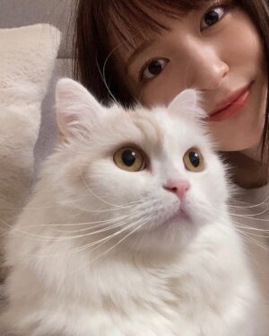 Mikako Komatsu Instagram - 2022年お疲れ様でしたー！！
大晦日満喫してますか〜？？

私はというと。
朝からケーキ屋さんに並び笑、
猫のトイレを洗い、
ジョイントマットを張り替え大掃除！
そして年越し蕎麦を頂きまして
味海苔をポリポリ食べながら
ようやく寛いでいるところです。
まったく大晦日感ないな！！

ひとまず新年を迎える準備は万端🐰🐰！

皆はどんな年越しかな？
今年の疲れをゆっくり癒やして、
間も無く訪れる2023年に備えましょ〜！

明日はお雑煮作るぞ〜( ˘ω˘)