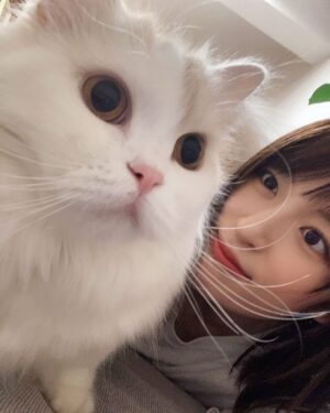 Mikako Komatsu Instagram - 2022年お疲れ様でしたー！！
大晦日満喫してますか〜？？

私はというと。
朝からケーキ屋さんに並び笑、
猫のトイレを洗い、
ジョイントマットを張り替え大掃除！
そして年越し蕎麦を頂きまして
味海苔をポリポリ食べながら
ようやく寛いでいるところです。
まったく大晦日感ないな！！

ひとまず新年を迎える準備は万端🐰🐰！

皆はどんな年越しかな？
今年の疲れをゆっくり癒やして、
間も無く訪れる2023年に備えましょ〜！

明日はお雑煮作るぞ〜( ˘ω˘)