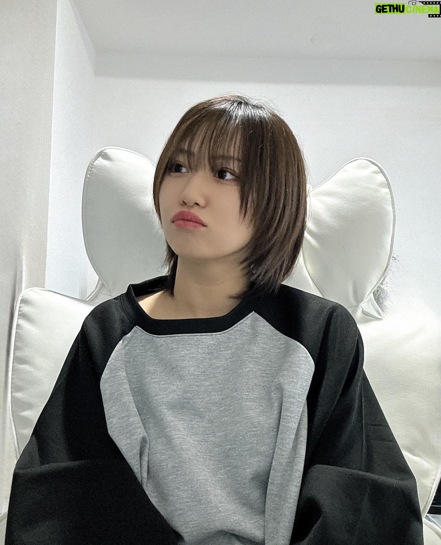 Miki Nonaka - 9.5K Likes - 最近はこんなかんじです🐺🖤
.
#helloproject#morningmusume24#モーニング娘#モーニング娘24#野中美希#ちぇる