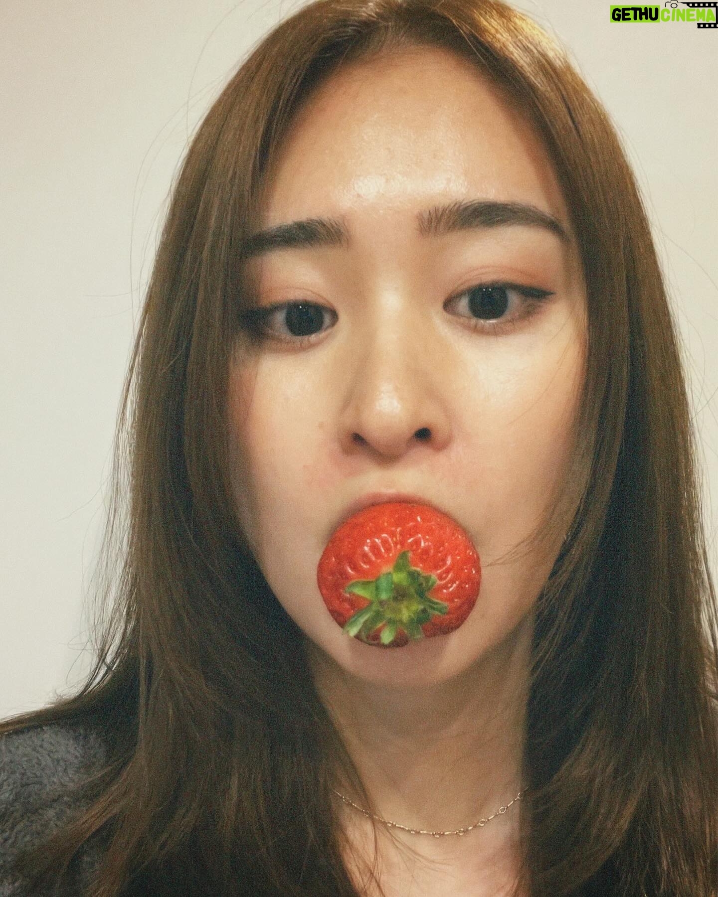 Miki Yanagi - 4.2K Likes - 私の地元愛知県大府市から苺が届きました🍓
毎年本当美味しいの極み
大府市でいちご狩りはもちろんオンラインショップもあるみたいです🍓産地直送🍓
是非、大府市 苺 通販 みたいな感じで調べてみてくださいまし!
最後の写真はハルが乱入してきた写真
#大府市 #苺 #pr