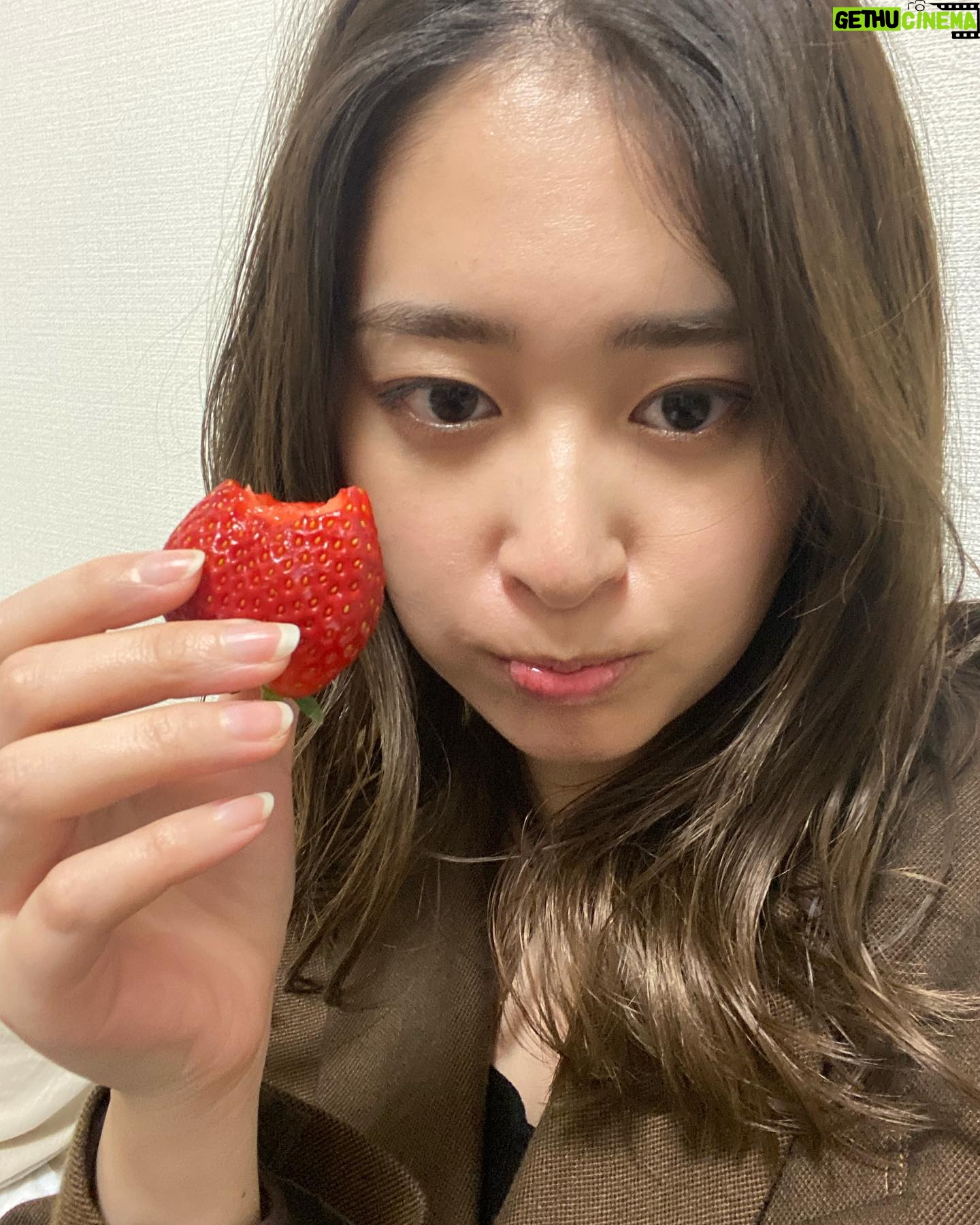 Miki Yanagi - 4.5K Likes - 私が広報大使を務める
愛知県大府市から苺をいただきました🍓
めっちゃ美味しい。
実は毎年実家に帰ったら大府の苺を食べるぐらい好きなのさ、大府市の苺。
本当にみんなも是非とも食べてみて欲しい
食べられる期間が5月上旬ごろまでなのでお試しあれ!!!
#大府市 #pr
