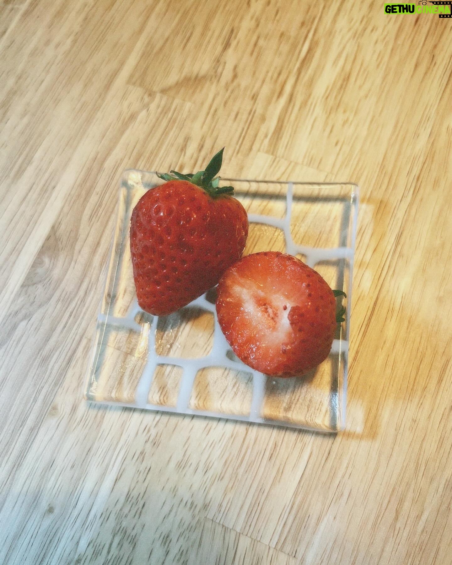 Miki Yanagi - 4.2K Likes - 私の地元愛知県大府市から苺が届きました🍓
毎年本当美味しいの極み
大府市でいちご狩りはもちろんオンラインショップもあるみたいです🍓産地直送🍓
是非、大府市 苺 通販 みたいな感じで調べてみてくださいまし!
最後の写真はハルが乱入してきた写真
#大府市 #苺 #pr