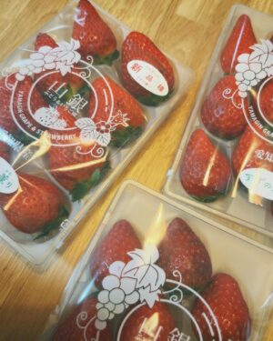 Miki Yanagi Instagram - 私の地元愛知県大府市から苺が届きました🍓
毎年本当美味しいの極み
大府市でいちご狩りはもちろんオンラインショップもあるみたいです🍓産地直送🍓
是非、大府市　苺　通販　みたいな感じで調べてみてくださいまし！

最後の写真はハルが乱入してきた写真

#大府市 #苺　#pr