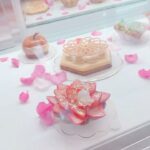 Miki Kawanishi Instagram - 🍰🫧 今日OPENの代官山Charles-Henryに @haru_fuumi ちゃんと行ってきました🤍 全部が可愛くておしゃれでおいしくて 癒され空間だった〜(⸝⸝ ◜~◝⸝⸝)💞 久しぶりでずーーーっとお話ししてた😂 ありがとうございました🫧 @bebechan_france @charleshenry_official #代官山カフェ #代官山 #タルト #タルトタタンという存在を初めて知った #美味しすぎた #はるあんちゃん癒しをありがとう