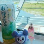 Miki Kawanishi Instagram - 🫶❤️‍🔥 2日間ハイタッチ会参戦❕ ミサモかわいかったぁぁあぁ😵‍💫💓 1枚目行ったときに たくさんの人とハイタッチするから 手痛いよね😭と思って人差し指だけ 差し出してハイタッチしたら 指ギューって握ってくれた🥺🥺 赤ちゃん……かわええ… 最高の2日間でした💜 #MISAMO #ハイタッチ会 #三つ編み卑弥呼ヘア可愛すぎた