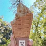 Miki Kawanishi Instagram - 🌲🥀🍦☀️🌊