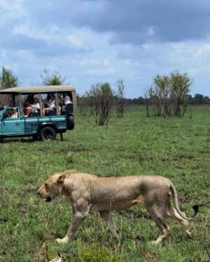 Milena Radulović Instagram - African safari 🦒🐘☀️