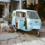 Millie Brady Instagram - Turned 30 in India which was the most magical place I’ve ever been to. With my best friend/sister who organised the entire trip with @wearenemotravel whilst I rested on my laurels and lulled around eating naans and taking pictures which suited me VERY nicely. Excited for this new decade and feeling very grateful for the people around me 🧡