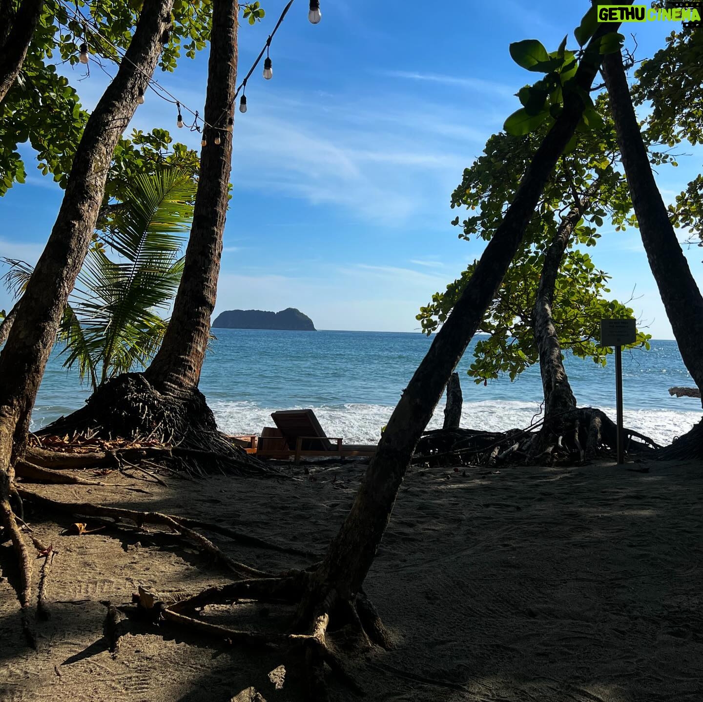 Millie Gibson Instagram - pura vida🥥ðŸªðŸ¦ŽðŸ‘™