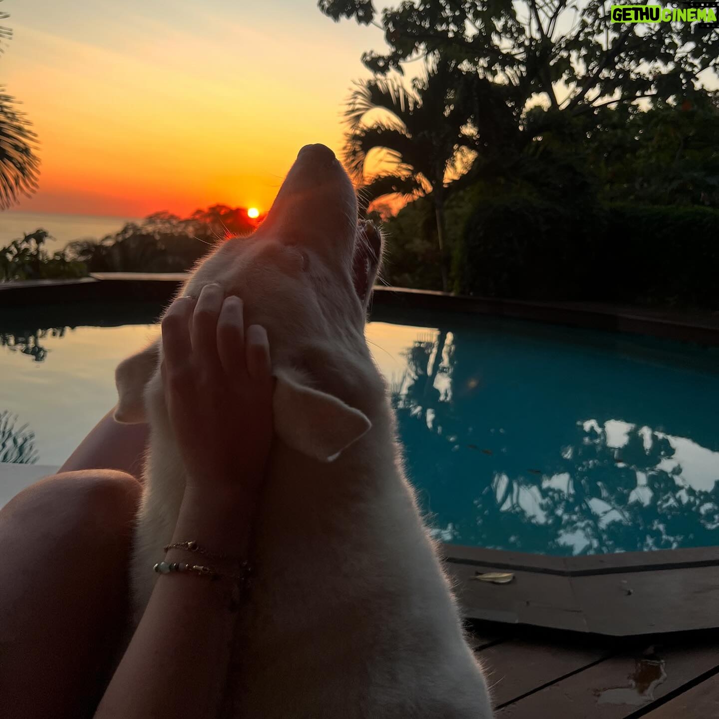 Millie Gibson Instagram - pura vida🥥ðŸªðŸ¦ŽðŸ‘™