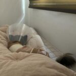 Min-seo Instagram - 열어분. 그거아세요? 전 사실 요 아이를 임시보호중입니다. 이름은 쿠마🐻🤎 단순하게 처음 봤을때 곰 같아서 쿠마라구 지어줬어요…껄껄 얼마나 순하구 착하구… 또 소심하구… 기여워주금ㅋ 간식은 엄청나게 좋아하는 편… 좋은 집에 입양 가기 전에 이래저래 치료할 곳이 많아 쿠마가 고생이지만, 잘 이겨내고 꼭 좋은 집으로 입양 보내겠습니ㄷr. 그때까지 쿠마를 지키는 수호천사 민서. 화이팅! 쿠마공주 계정🤍: @kuma_230930 입양문의: 카카오톡 ID qeen620 / 01082484767