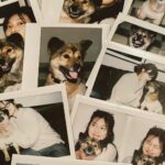 Min-seo Instagram – 쿠마, 꼭 좋은 가족을 만날거야! ♡