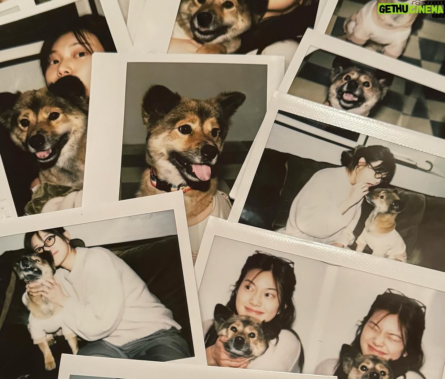 Min-seo - 11.9K Likes - 쿠마, 꼭 좋은 가족을 만날거야! ♡
