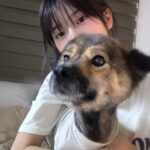 Min-seo Instagram - 열어분. 그거아세요? 전 사실 요 아이를 임시보호중입니다. 이름은 쿠마🐻🤎 단순하게 처음 봤을때 곰 같아서 쿠마라구 지어줬어요…껄껄 얼마나 순하구 착하구… 또 소심하구… 기여워주금ㅋ 간식은 엄청나게 좋아하는 편… 좋은 집에 입양 가기 전에 이래저래 치료할 곳이 많아 쿠마가 고생이지만, 잘 이겨내고 꼭 좋은 집으로 입양 보내겠습니ㄷr. 그때까지 쿠마를 지키는 수호천사 민서. 화이팅! 쿠마공주 계정🤍: @kuma_230930 입양문의: 카카오톡 ID qeen620 / 01082484767