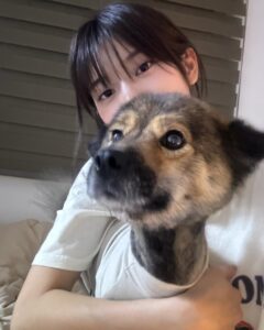 Min-seo Instagram - 열어분. 그거아세요? 전 사실 요 아이를 임시보호중입니다. 이름은 쿠마🐻🤎 단순하게 처음 봤을때 곰 같아서 쿠마라구 지어줬어요…껄껄 얼마나 순하구 착하구… 또 소심하구… 기여워주금ㅋ 간식은 엄청나게 좋아하는 편… 좋은 집에 입양 가기 전에 이래저래 치료할 곳이 많아 쿠마가 고생이지만, 잘 이겨내고 꼭 좋은 집으로 입양 보내겠습니ㄷr. 그때까지 쿠마를 지키는 수호천사 민서. 화이팅! 쿠마공주 계정🤍: @kuma_230930 입양문의: 카카오톡 ID qeen620 / 01082484767