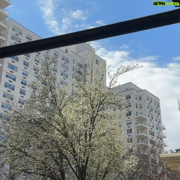 Min Do-hee - 7.8K Likes - 🌸☀️🌿🌼🌱🌳