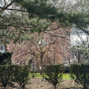 Min Do-hee Instagram - 🌸☀️🌿🌼🌱🌳