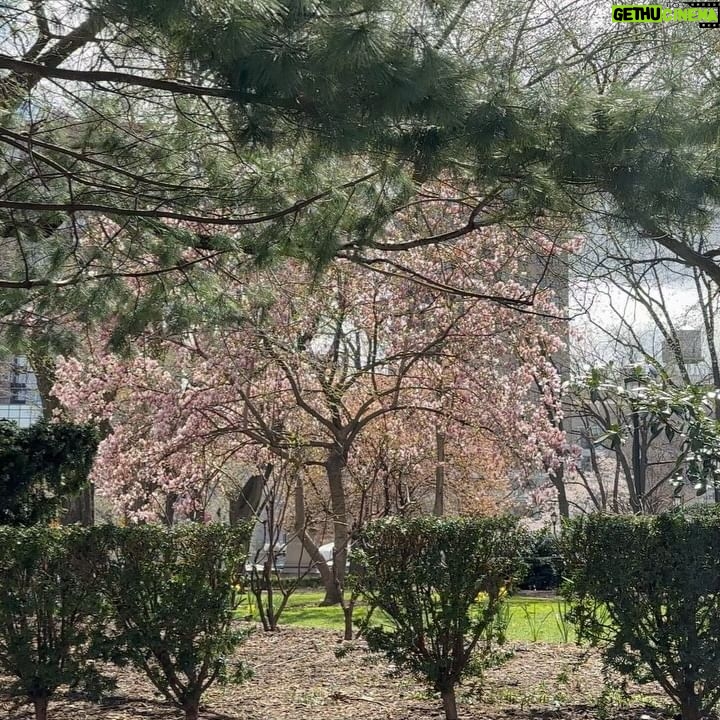 Min Do-hee - 7.8K Likes - 🌸☀️🌿🌼🌱🌳