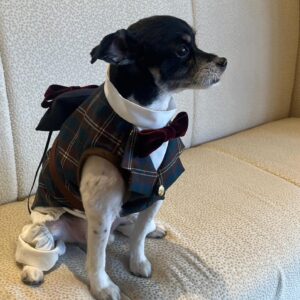 Mina Ōba Instagram - 🐶
　
結婚式をやるって決めて
私の中での大事なひとつが
リングドッグをやることでした🐾
　
大切な家族の一員のコロ助(11)
特別な日のためにあいみ @aimiedesu に
タキシードを作ってもらいました🪽
かわいすぎて…🥺
　
この日からコロの一張羅になりました🐶
　
犬の服作ったことないのに引き受けてくれて
こんなに素敵なタキシード作れちゃう
あいみは天才すぎてる！
チェックかわいすぎ！ありがとう🐾
　
名古屋で出会って意気投合して
時が経ってお互いアラサーになって再会できて
また仲良くしてくれて感謝してる😌☁️
　
#wedding #結婚式 #リングドッグ #プレ花嫁 #卒花嫁 #アニ花嫁 #アニヴェルセルみなとみらい