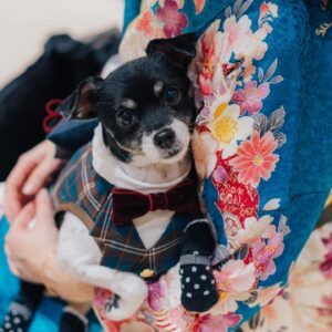 Mina Ōba Instagram - 🐶
　
結婚式をやるって決めて
私の中での大事なひとつが
リングドッグをやることでした🐾
　
大切な家族の一員のコロ助(11)
特別な日のためにあいみ @aimiedesu に
タキシードを作ってもらいました🪽
かわいすぎて…🥺
　
この日からコロの一張羅になりました🐶
　
犬の服作ったことないのに引き受けてくれて
こんなに素敵なタキシード作れちゃう
あいみは天才すぎてる！
チェックかわいすぎ！ありがとう🐾
　
名古屋で出会って意気投合して
時が経ってお互いアラサーになって再会できて
また仲良くしてくれて感謝してる😌☁️
　
#wedding #結婚式 #リングドッグ #プレ花嫁 #卒花嫁 #アニ花嫁 #アニヴェルセルみなとみらい