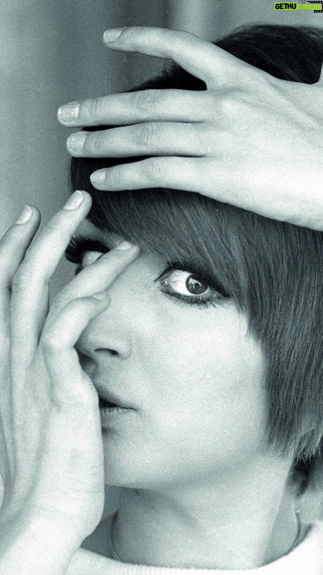 Mina - 23.4K Likes - MI SEI SCOPPIATO DENTRO AL CUORE
Studio Uno | 11 giugno 1966