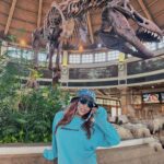 Mina Shirakawa Instagram – 大阪オフの思い出。派手〜💙🍪💙🤑

#USJ #minashirakawa #Japan #ootd