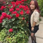 Mina Shirakawa Instagram - 🥀🌹Rose Garden🌹🥀 #ROSE #flower #Japan #MinaShirakawa #バラ #バラ園