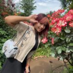 Mina Shirakawa Instagram - 🥀🌹Rose Garden🌹🥀 #ROSE #flower #Japan #MinaShirakawa #バラ #バラ園