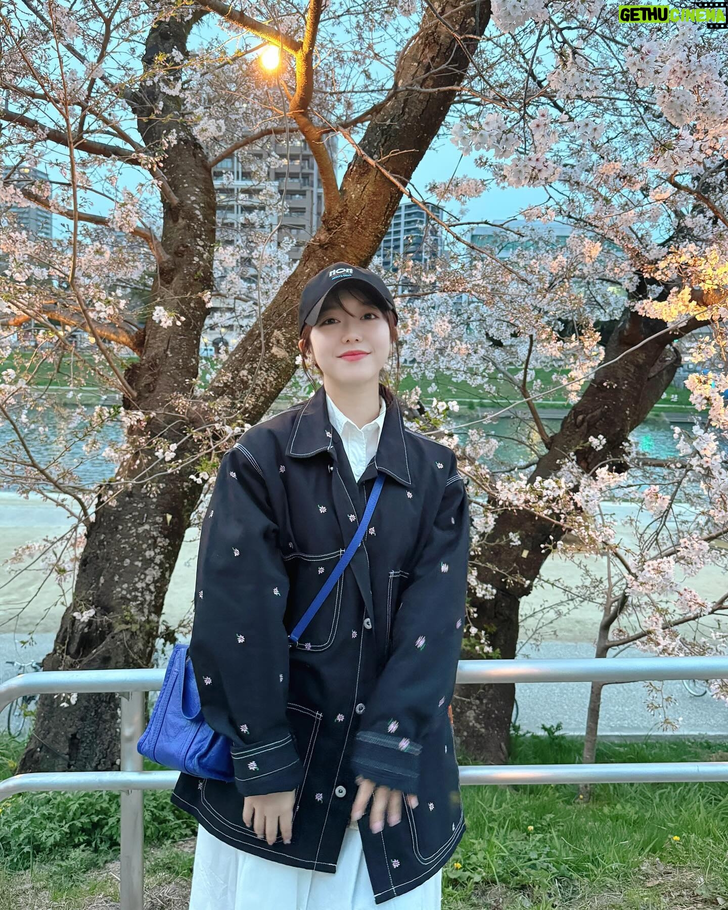 Minami Minegishi Instagram - 岡崎桜祭り🌸 今年もすでに3回ぐらい行きました(笑) 今日はお友達みんなで船に乗り夜桜まで満喫! まだつぼみちゃんも多かったので、晴れた空の下で満開の桜を見たいなぁ。。