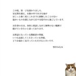Minami Minegishi Instagram - ご報告です。