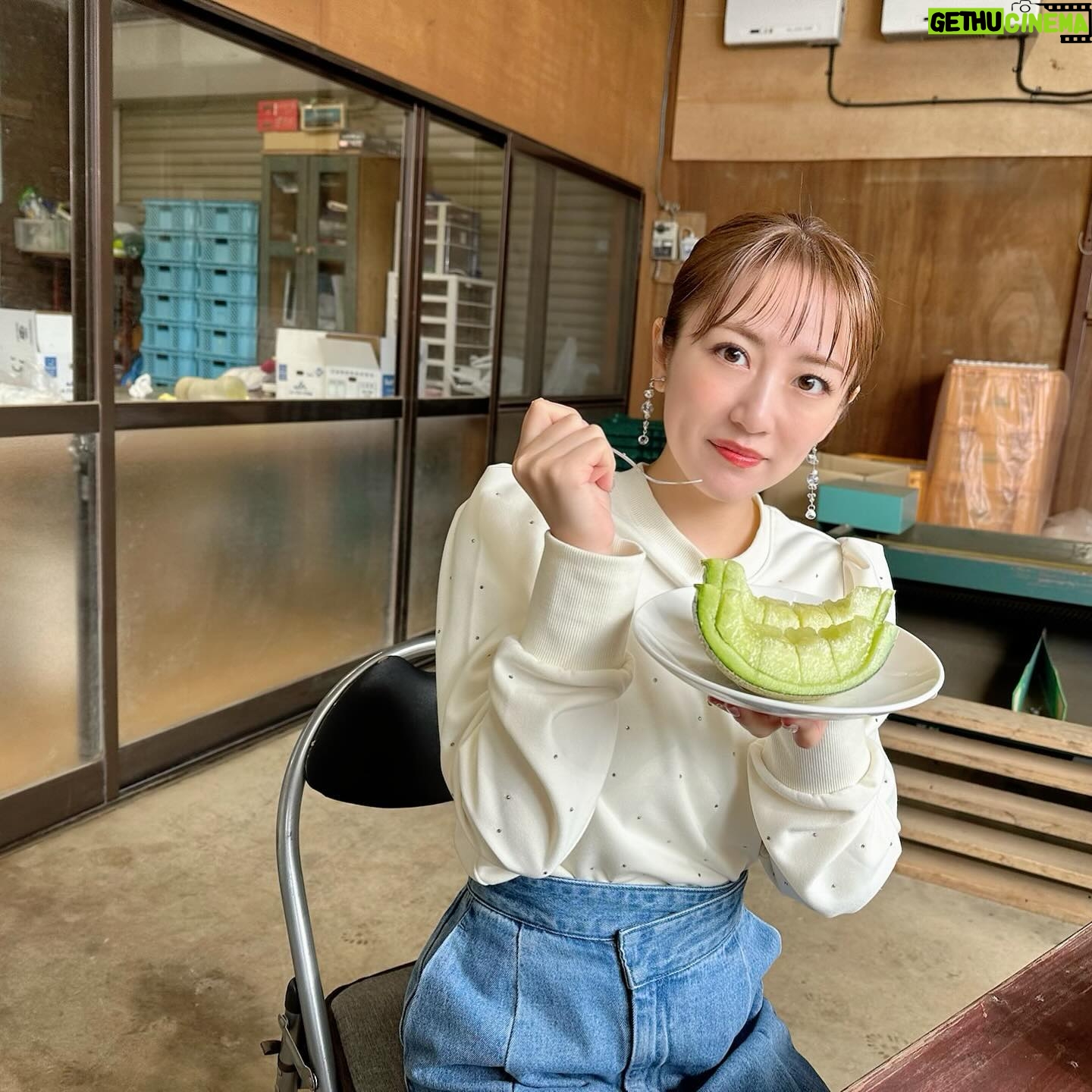 Minami Takahashi Instagram - テレビ朝日「じゅん散歩」内で放送されている茨城の新しい魅力をお届けする「いばらき推し」✨ 5月の放送分に出演させていただきました🥺✨ 日本酒文化長屋 磯蔵🍶 青木さんちの手作り餃子🥟 涸沼自然公園でキャンプ⛺️ 佐白山のとうふ屋😋 茨城のメロン🍈 どれも美味しく楽しかったです! ご協力いただいた皆さんありがとうございました😊✨ #いばらき推し #茨城県 #テレビ朝日 #tv 衣装👗 コート @lounie_jp トップス・スカート @cocodeal_official イヤリング @shirochocolate