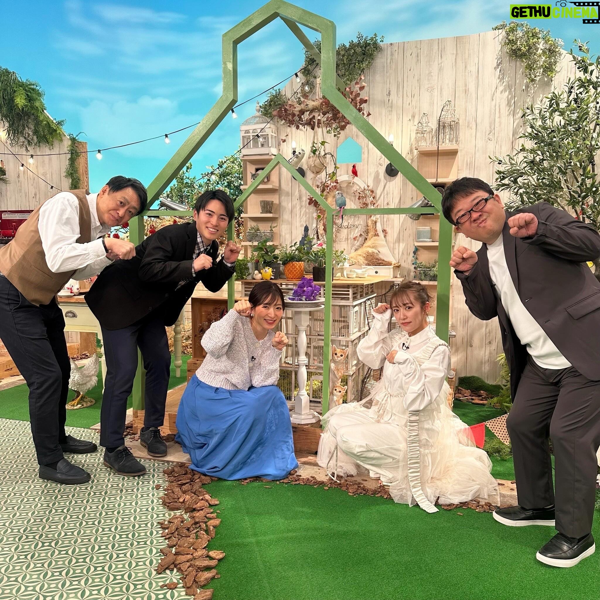 Minami Takahashi Instagram - 東海テレビ スイッチ! 今週もありがとうございました✨ 2月22日にゃんにゃんにゃーん!猫の日ということで猫ポーズ🐈✨ #スイッチ #東海テレビ #tv #猫の日 衣装👗 ジレ j1u_by_labelleetude シャツ _vacancy_official パンツ @auntmaries.official イヤリング @michicusa_jewelry パンプス @dianashoespress