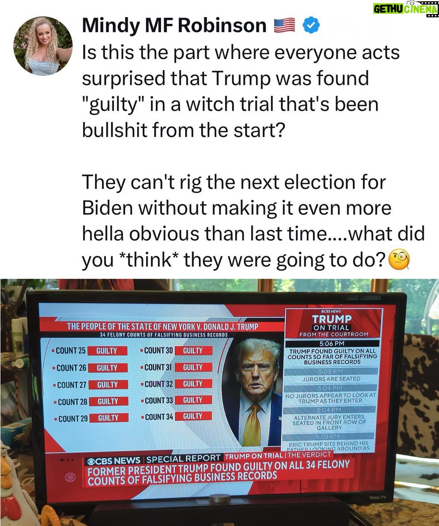 Mindy Robinson - 3.3K Likes - It's almost like this entire administration is lawless and illegitimate from top to bottom, or something? 🧐