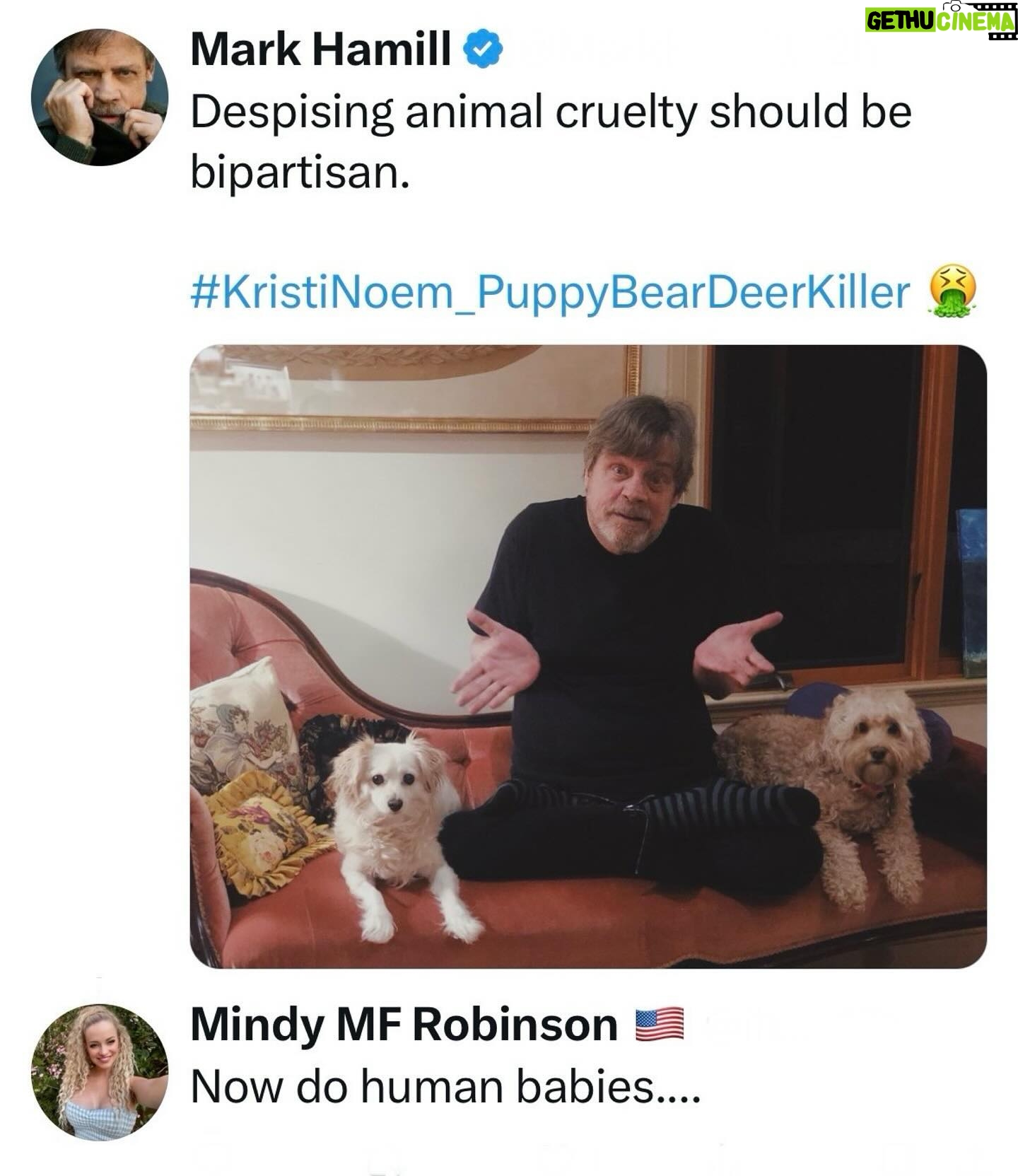 Mindy Robinson - 2.6K Likes - The Left's priorities are so f*cked....
Kristi Noem had to put down one of her farm dogs for killing animals, and apparently the Left cares more about that than any current actual atrocity going on in the world right now...