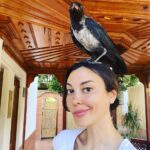 Mine Kılıç Instagram - besledim kargayı oymadı gözümü.