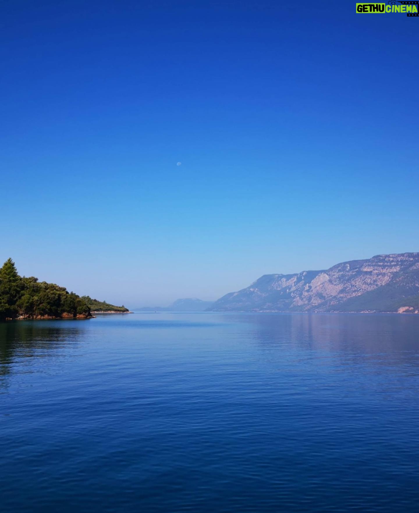 Mine Kılıç - 2.4K Likes - Happy #earthday! 🤍🌎
Bu Dünya Günü’nde sen de benim gibi @natgeotvturkiye ’ye katıl, ülkemizde sana en çok ilham veren, seni en çok mutlu eden #İşteBurası dediğin yerleri paylaş!
Daha fazlası için;
natgeotv.tr/planetpossible adresini ziyaret et!
#ShareYourSpot
#işteburası
#muğla #dalyan #kaunoskayamezarlari
ve
#ula #akyaka