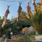 Mine Kılıç Instagram - güzel olan her şey🌿